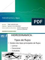 Hidrodinamica y Agua: Felipe Sepúlveda Unda Ingeniero Civil en Metalurgia Doctor en Ingeniería de Procesos de Minerales