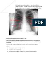 Radiologie