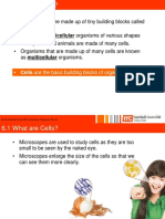 Cells MC Slides For 1E4 Students Only PDF