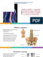 8. Măduva spinării – topografie, structură şi funcţii. Plexurilor nervoase ale măduvei spinării şi zonele lor de inervaţie.