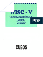 01. CUBOS WISC V