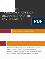 Organism Interactions and Ecosystem Flow