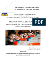 Eseu - Procedura de luare deciziei cu privire la plasamentul copilului