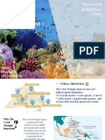 Coral Triangle Destruction in Indonesia - Inernational Relations Study