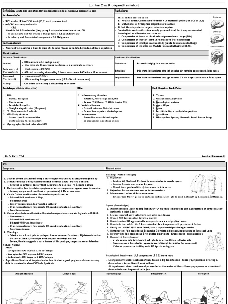 Understanding Lumbar Disc Herniation | PDF | Back Pain | Vertebral Column