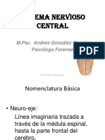 Sistema Nervioso Central (Resumen Clase Especial)