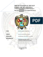 caso-chimbote-final.docx