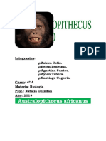 Australopithecus africanus.docx