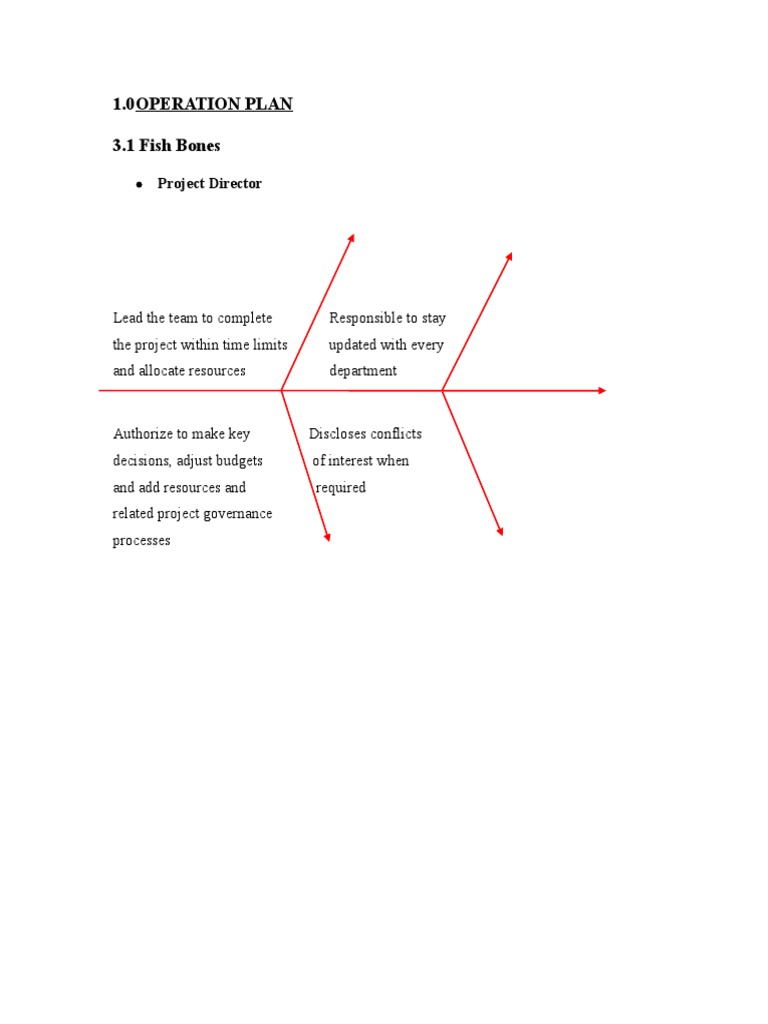 Project Operation Plan Overview | PDF