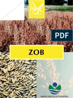 Zob