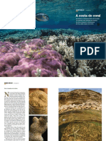NGP_09_11_GrandeAngular(Corais).pdf