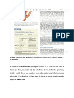 El Cáncer Gástrico en Fase Temprana Es Aquel Adenocarcinoma Que Se Limita A La Mucosa y La Submucosa