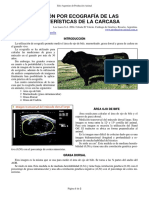 02-ecografia_caracteristicas_carcaza.pdf