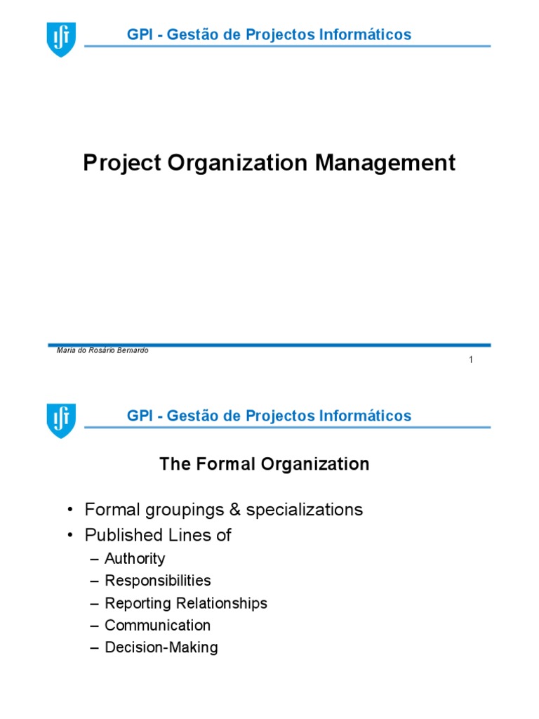 Project Organization Management Overview | PDF | Organizational ...