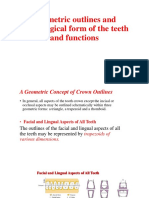 Geometric Outlines and Physiological Form of The Teeth and Functions