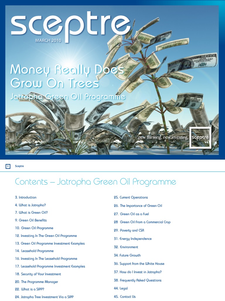 Jatropha Bio Fuel Investment Report PDF Pension Biofuel