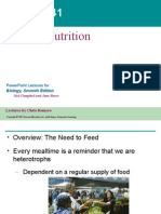 41- Animalnutrition Text