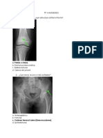 TP 4 IMÁGENES Anatomia Locomotor