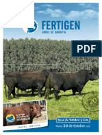 Catalogo Fertigen