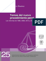 Temas Del Nuevo Procedimiento Penal