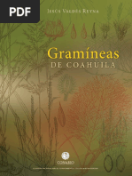 gramineas