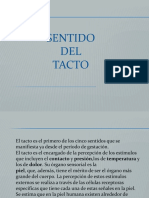 Pielytacto 130816074937 Phpapp01 PDF