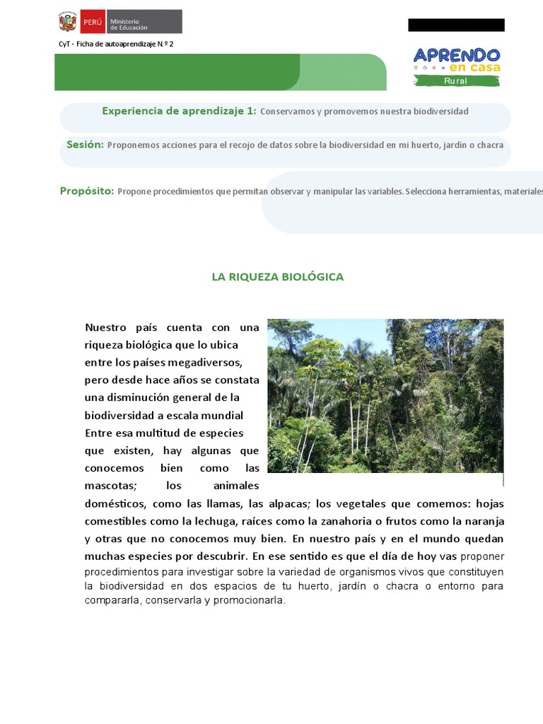 Ficha Autoaprendizaje Ciclo Vi Ciencia y Tecnologia Semana 2 | PDF ...