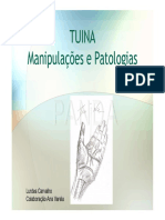 workshop-tuina-apresentacao-final2272_2188.pdf