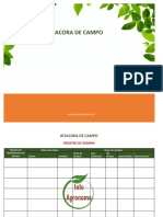 Bitacora Campo PDF