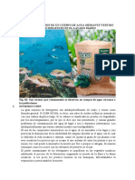 ecologia 2.docx