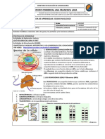 Biología Noveno