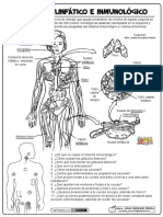02-El-Sistema-Linfático-e-Inmunológico.pdf