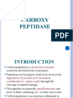 Carboxy Peptidase