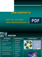 ALGA - Chrysophyta-Pyrophyta-Phaeophyta-Rhodophyta