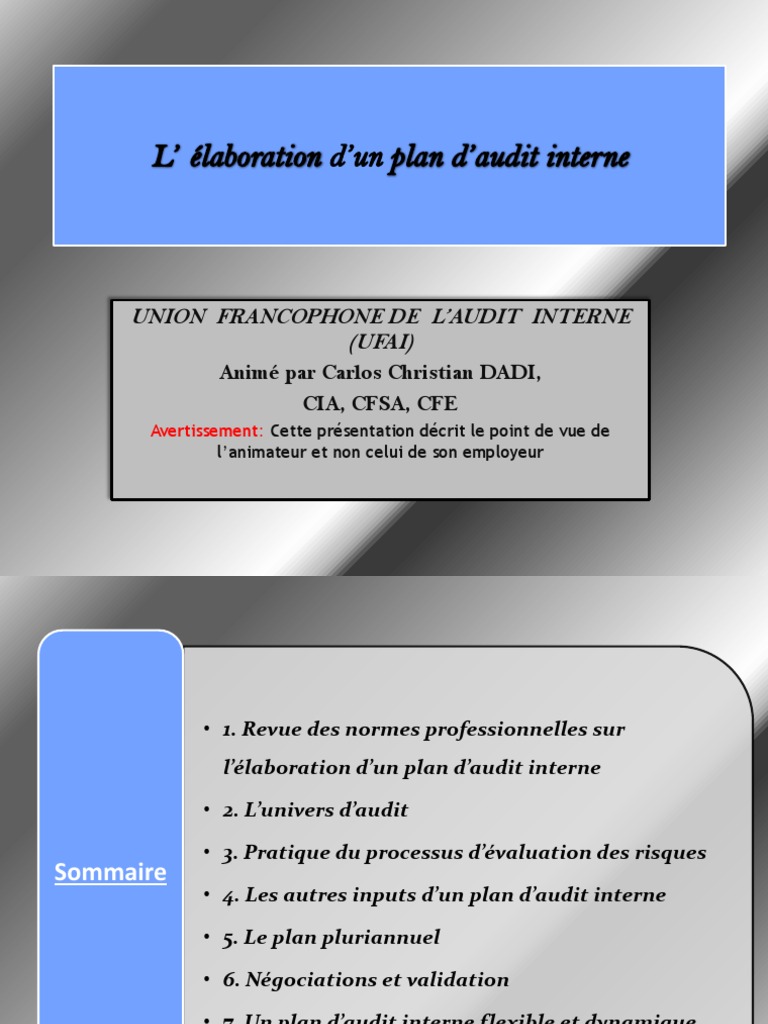 Élaboration d'un Plan d'Audit Interne | PDF | Audit interne | Audit