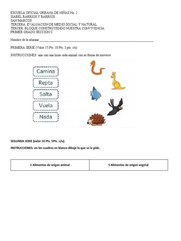 3a. EVALUACIÓN DE MEDIO SOCIAL Y NATURAL | PDF