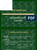 110. Curs - Morfopatologia aparatului cardiovascular