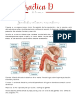 Practica 19 18-05-20 PDF