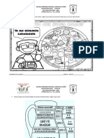 ANEXO DE EF PARA 1os. Y 2os.