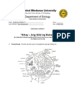 Sihay - Ang Silid NG Buhay