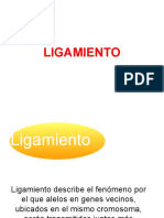 T8 LIGAMIENTO.pdf