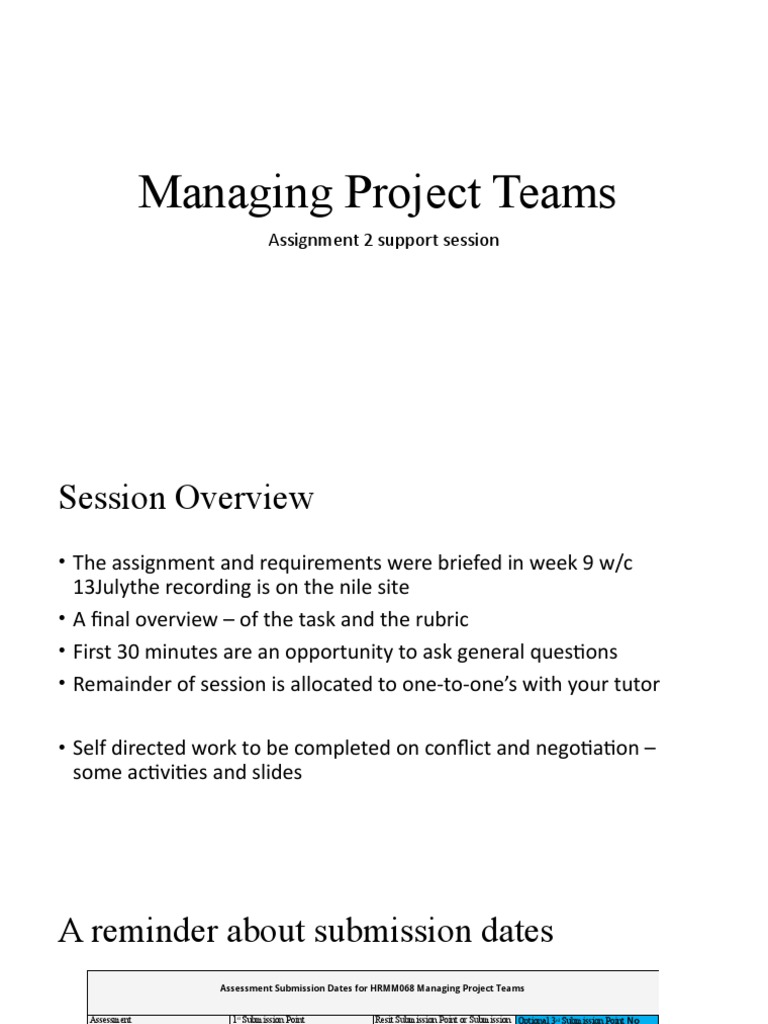 Project Team Management Assignment Guide | PDF