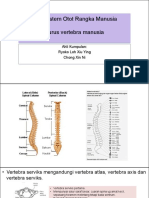 projek-vertebra.pdf