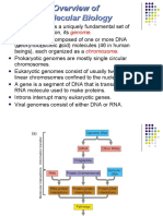 Overview of Molecular Biology: Genome