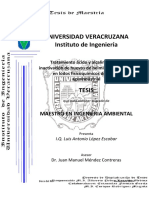 2009 Ambiental LuisAntonioLopezEscobar PDF