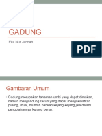 Gadung PDF
