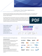 Securing Kubernetes and Your Cloud-Native Applications: Datasheet