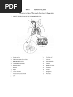 Oxygenation Worksheet