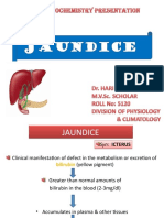 Jaundice 03
