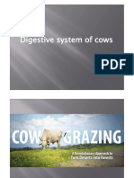 Cow Digestive System Explained